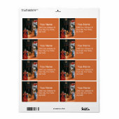 RECANATI ANNUNCIATION BY Lorenzo Lotto Etiket (Full Sheet)