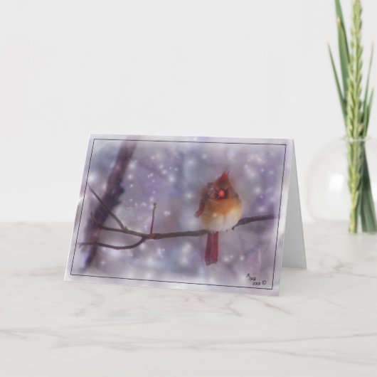 Recente Koude Dag Dame Cardinal Feestdagen Kaart (Voorkant)