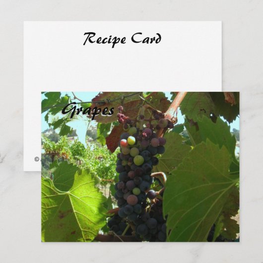 Recept Kaart - Druiven op wijnstokken (Voorkant / Achterkant)