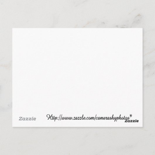 recept voor teddy chef briefkaart (Achterkant)