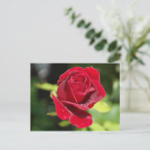 Receptenkaart Chocolade Chip Pindakaas Cookie Briefkaart (Staand voorkant)