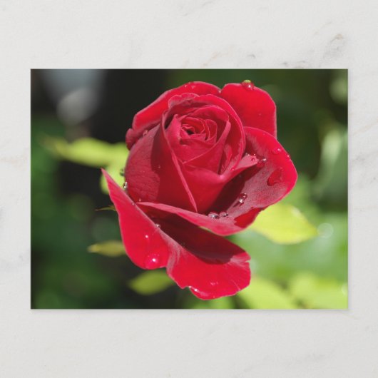 Receptenkaart Chocolade Chip Pindakaas Cookie Briefkaart (Voorkant)