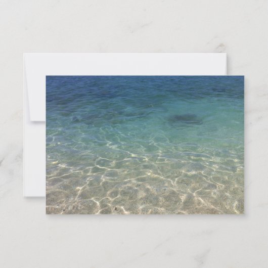 Receptie-Strand Bruiloft Zeester & Zand Dollar Kaart (Achterkant)