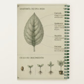 recetario botanico notitieboek (Achterkant)