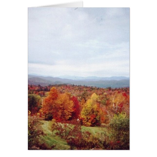 "Recht achter het huis" (Voorkant)