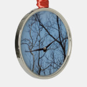 recht op adelaar metalen ornament (Rechts)