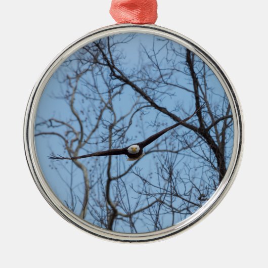 recht op adelaar metalen ornament (Voorkant)