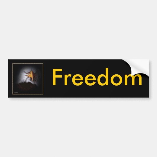 recht op vrijheid bumpersticker (Voorkant)