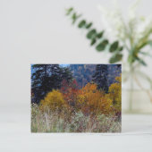Recht Smokie Mountain Autumn Briefkaart (Staand voorkant)