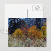 Recht Smokie Mountain Autumn Briefkaart (Voorkant / Achterkant)