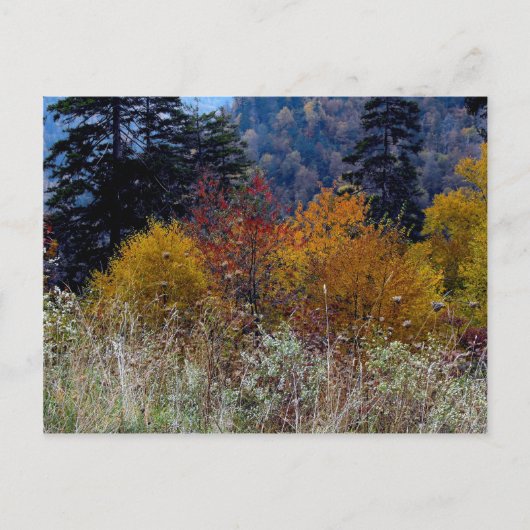 Recht Smokie Mountain Autumn Briefkaart (Voorkant)