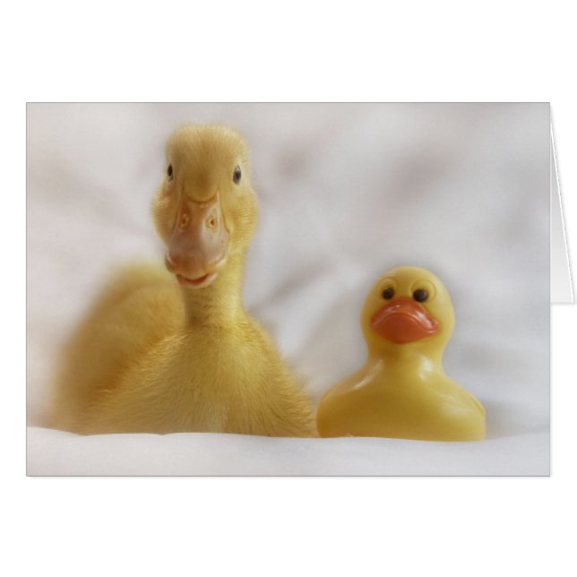 Rechte kant (Voorkant Horizontaal)