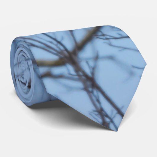 Rechte op Eagle Stropdas (Opgerold)