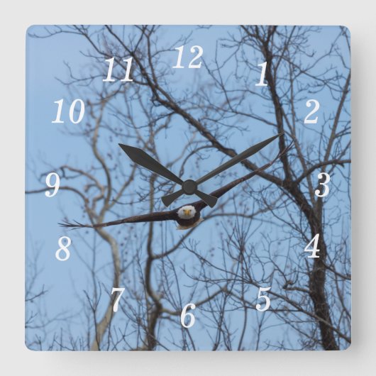 Rechte op Eagle Wall Clock Vierkante Klok (Voorkant)