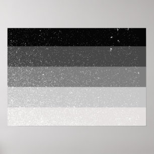 RECHTE ORIGINELE VLAG - .PNG POSTER