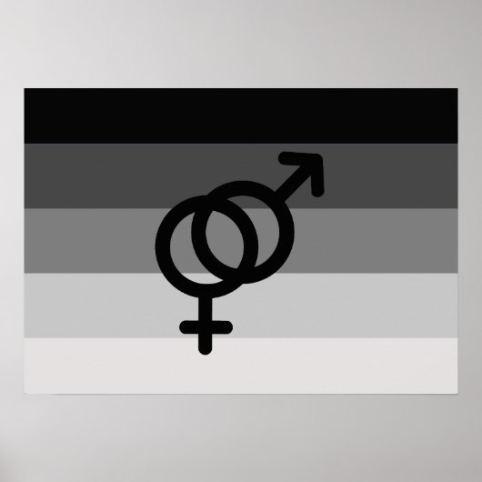 RECHTE VLAG ORIGINEEL MET SYMBOOL - PNG.PNG POSTER (Voorkant)