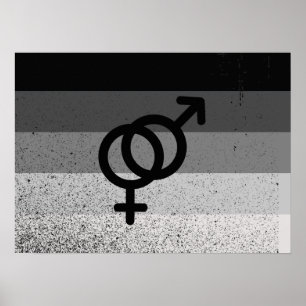RECHTE VLAG ORIGINEEL MET SYMBOOL -.png Poster