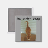 Rechterachtermagneet, Stray1 Magneet (Voorkant / Achterkant)