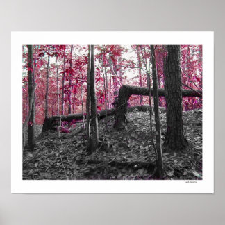 Rechterhoeken Poster