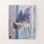 Rechterwalvis Legpuzzel (Verticaal)