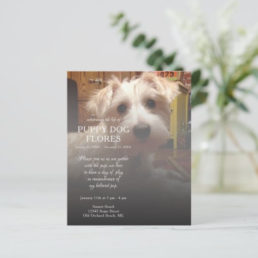 rechterzijfoto-gedenkteken (Staand voorkant)