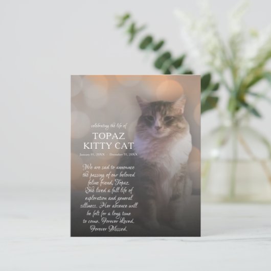 rechterzijfoto-gedenkteken (Staand voorkant)