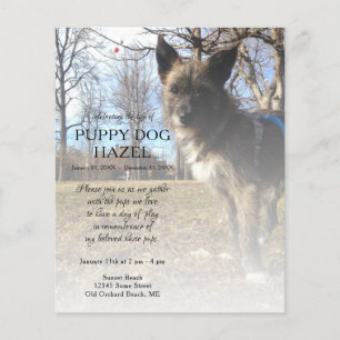 rechterzijfoto-gedenkteken