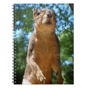 rechthoekige notitieboek