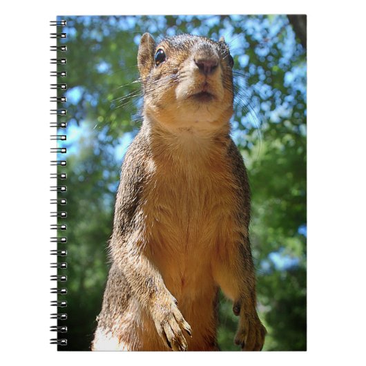 rechthoekige notitieboek (Voorkant)