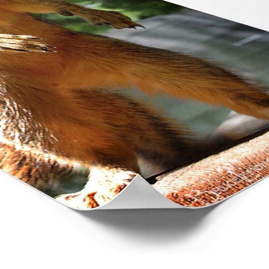 rechthoekige poster (Hoek)