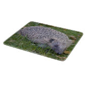 Rechthoekige Spike Snijplank (Hoek)