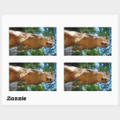 rechthoekige sticker (Vel)