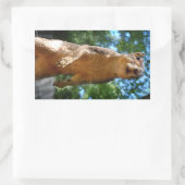 rechthoekige sticker (Tas)