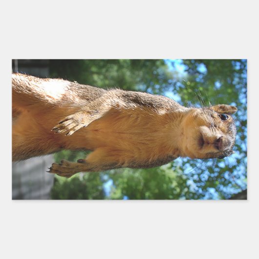 rechthoekige sticker (Voorkant)