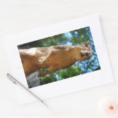 rechthoekige sticker (Envelop)