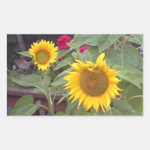 Rechthoekige sticker met 2 zonnebloemen