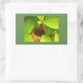 Rechthoekige sticker met kolibrie nest (Tas)