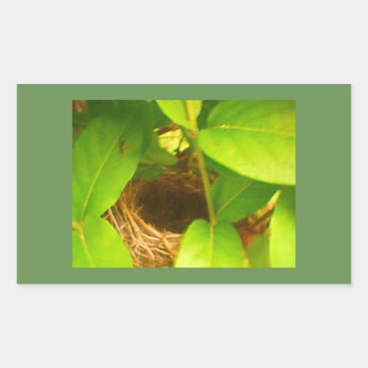 Rechthoekige sticker met kolibrie nest (Voorkant)