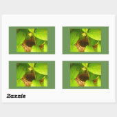 Rechthoekige sticker met kolibrinest (Vel)