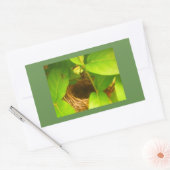 Rechthoekige sticker met kolibrisnest (Envelop)