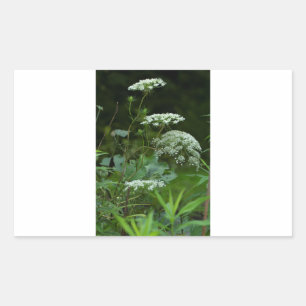 rechthoekige sticker sjabloon