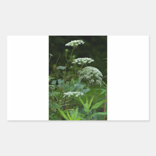 rechthoekige sticker sjabloon (Voorkant)