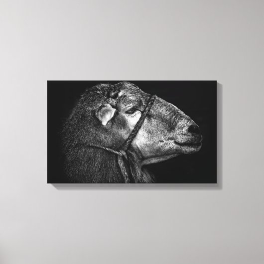 rechts volgend canvas afdruk (Voorkant)