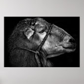 rechts volgend poster (Voorkant)