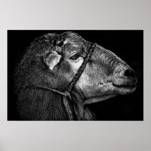 rechts volgend poster