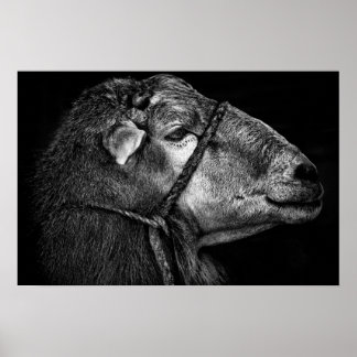 rechts volgend poster