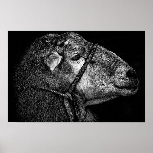 rechts volgend poster (Voorkant)