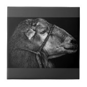 rechts volgend tegeltje (Voorkant)