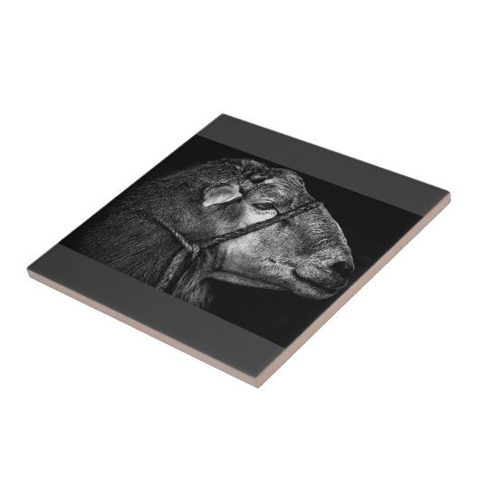 rechts volgend tegeltje (Zijkant)