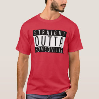 Rechtstreeks uit Romeoville Illinois Oversized T-shirt